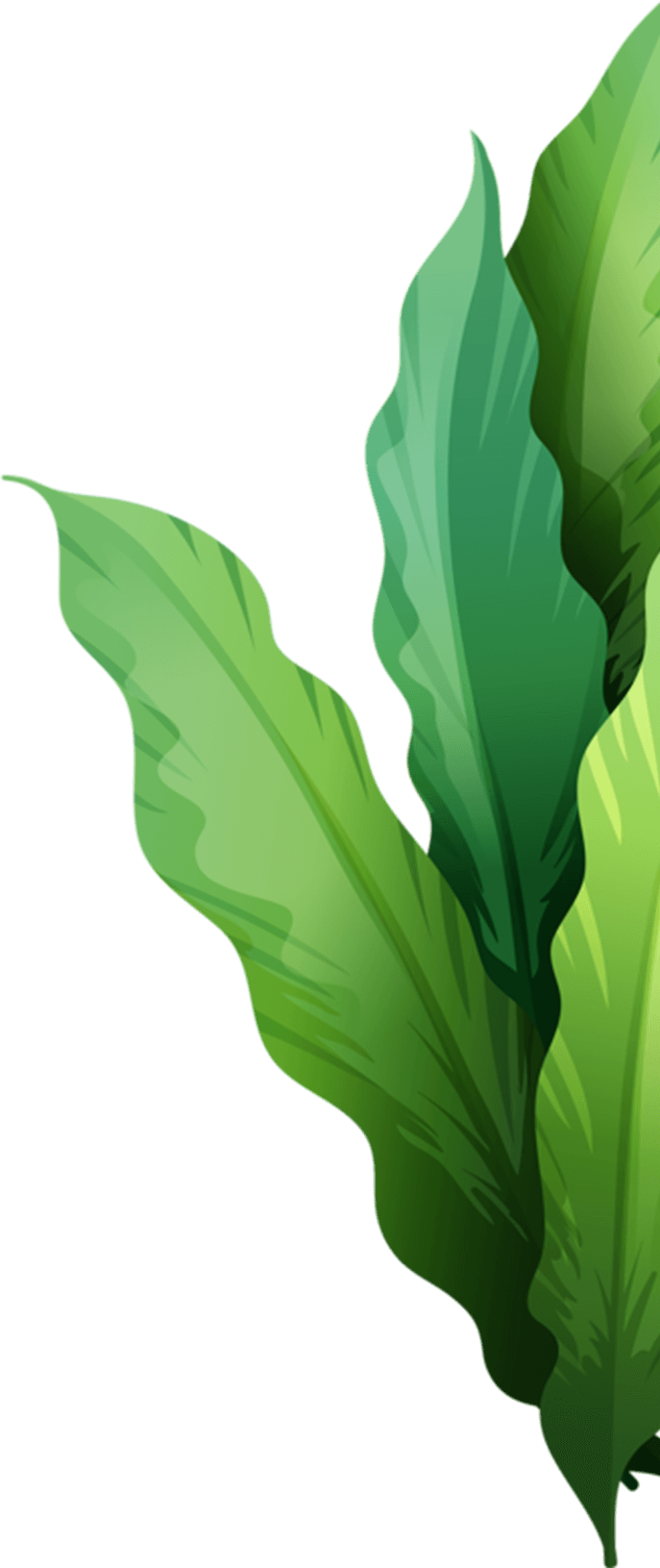 Quality Products